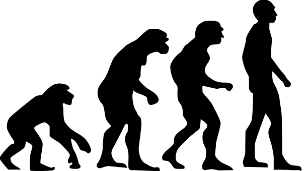 Silhouette of the evolution of humanity